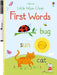 Little Wipe-Clean First Words by Felicity Brooks