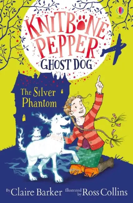 The Silver Phantom by Claire Barker