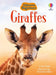 Giraffes by Lizzie Cope