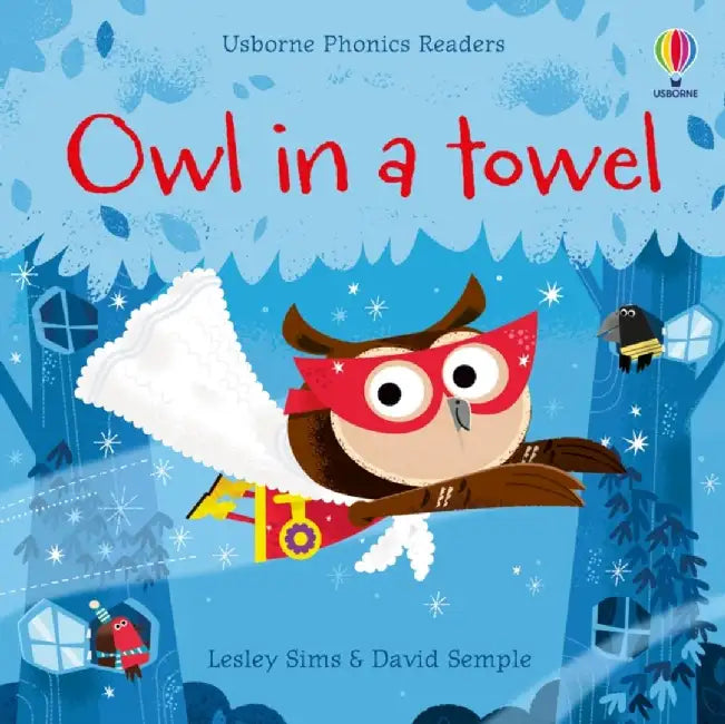 Owl in a Towel by Lesley Sims