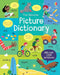Picture Dictionary by Caroline Young