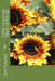 Edible Landscape Plants of Florida by Jean Lindsay