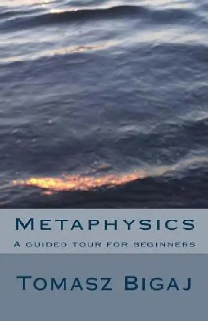 Metaphysics: A guided tour for beginners by Tomasz Bigaj