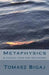 Metaphysics: A guided tour for beginners by Tomasz Bigaj