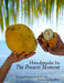 Handmade in The Present Moment by Yvette V. Schindler