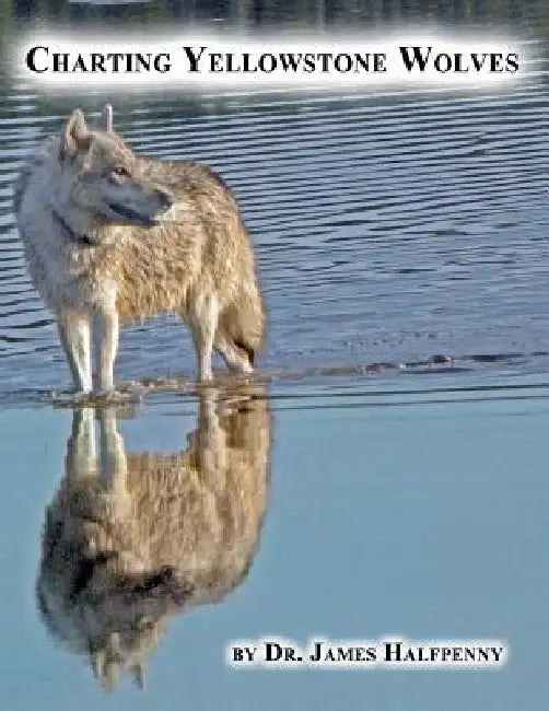 Charting Yellowstone Wolves by James Halfpenny