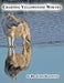 Charting Yellowstone Wolves by James Halfpenny