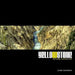 Yellowstone: Textures, Colors & Life by Zane R. Cochran