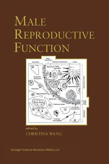 Male Reproductive Function by Christina Wang