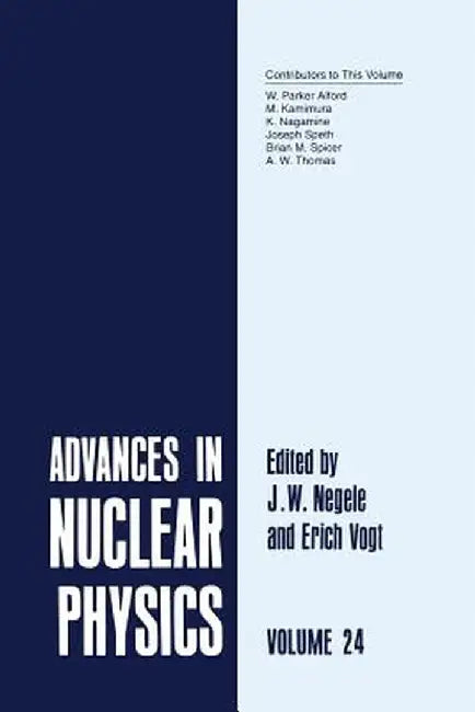 Advances in Nuclear Physics: Volume 24 by J. W. Negele
