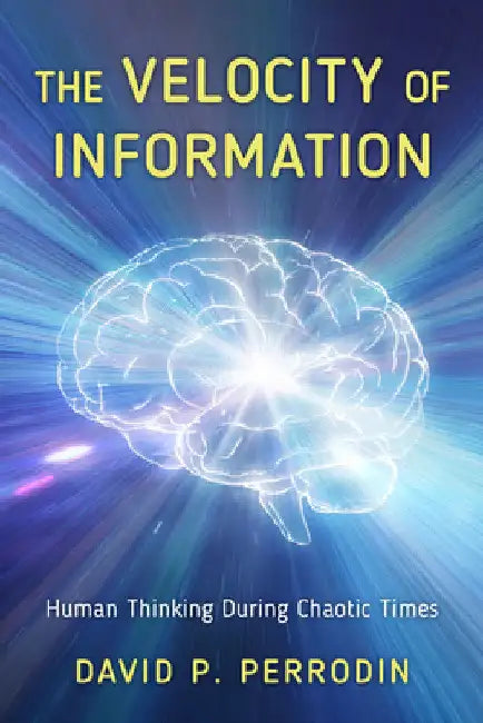 Velocity of Information: Human Thinking During Chaotic Times by David P. Perrodin