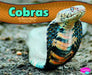 Cobras by Gail Saunders-Smith, Melissa Higgins