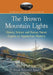 The Brown Mountain Lights: History, Science and Human Nature Explain an Appalachian Mystery by Wade Edward Speer