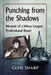 Punching from the Shadows: Memoir of a Minor League Professional Boxer by Glen Sharp