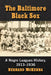 The Baltimore Black Sox: A Negro Leagues History, 1913-1936 by Bernard McKenna