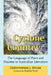 Cyclone Country: The Language of Place and Disaster in Australian Literature by Chrystopher J. Spicer