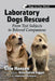 Laboratory Dogs Rescued: From Test Subjects to Beloved Companions by Ellie Hansen