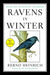 Ravens in Winter by Bernd Heinrich