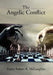 The Angelic Conflict by Pastor Robert R. McLaughlin