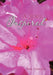 A Soul Inspired by Tina Garlick