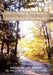 Going Towards the Nature Is Going Towards the Health by Melodie McBride, Anagha Yardi, Ashutosh Shaman Melodie McBride