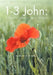 1-3 John: A Pentecostal Commentary by Matthew O. Sadiku