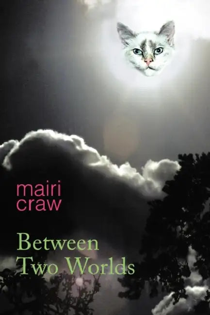 Between Two Worlds by Mairi Craw