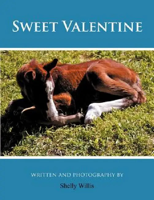 Sweet Valentine by Shelly Willis