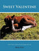 Sweet Valentine by Shelly Willis