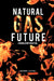 Natural Gas Future: A World Without Oil by Richard L. Itteilag