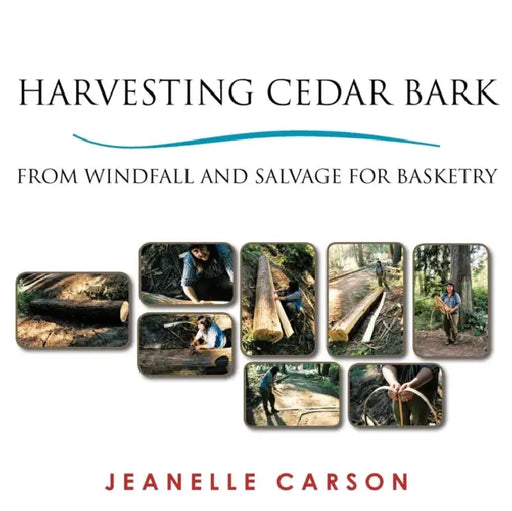 Harvesting Cedar Bark: From Windfall and Salvage for Basketry by Jeanelle Carson