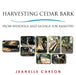 Harvesting Cedar Bark: From Windfall and Salvage for Basketry by Jeanelle Carson