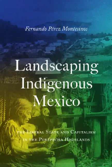 Landscaping Indigenous Mexico by Fernando Perez-Montesinos