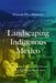 Landscaping Indigenous Mexico by Fernando Perez-Montesinos