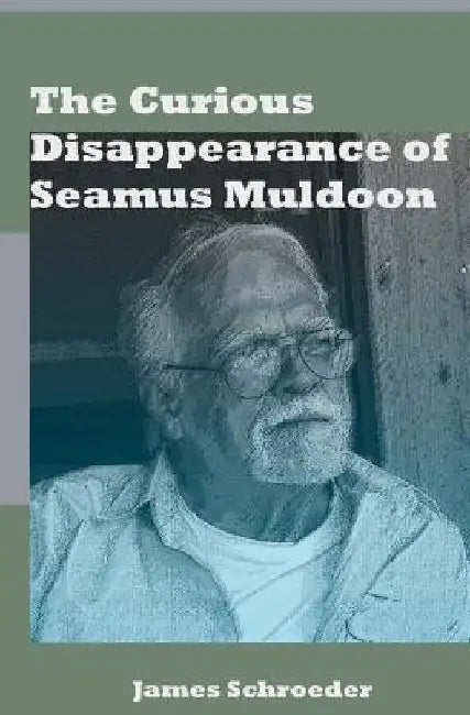 The Curious Disappearance of Seamus Muldoon by James Schroeder