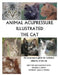 Animal Acupressure Illustrated The Cat by Deanna S. Smith