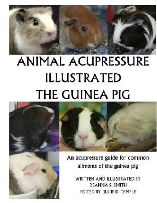 Animal Acupressure Illustration The Guinea Pig by Deanna S. Smith