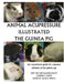 Animal Acupressure Illustration The Guinea Pig by Deanna S. Smith