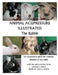 Animal Acupressure Illustrated The Rabbit by Deanna S. Smith