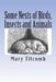 Some Nests of Birds, Insects and Animals by Mary Titcomb