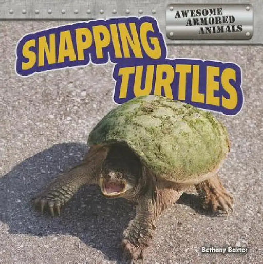 Snapping Turtles by Bethany Baxter