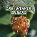 Orb-Weaver Spiders by Joanne Randolph