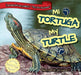 Mi Tortuga/My Turtle by Norman D. Graubart, Christina Green