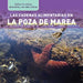 Las Cadenas Alimentarias En La Poza de Marea (Tide Pool Food Chains) by Katie Kawa