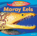 Moray Eels by Ruth Owen