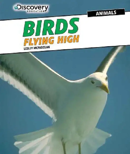 Birds: Flying High by Lesley McFadzean