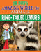 Ring-Tailed Lemurs by Ruth Owen