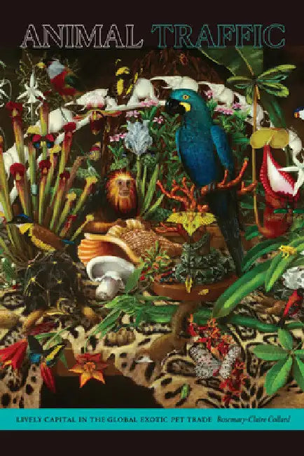 Animal Traffic: Lively Capital in the Global Exotic Pet Trade by Rosemary-Claire Collard