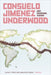Consuelo Jimenez Underwood: Art, Weaving, Vision by Laura E. Pérez