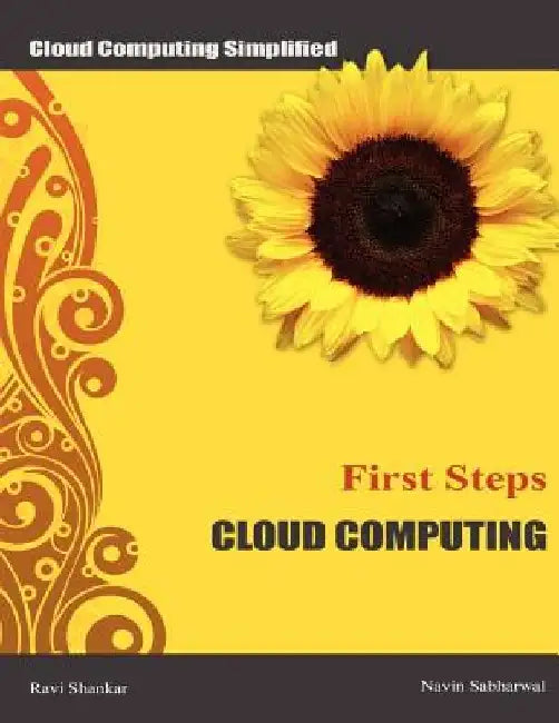Cloud Computing First Steps: Cloud Computing for beginners by Navin Sabharwal
